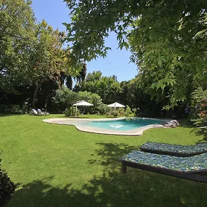beluga-of-constantia-guest-house.hotels-capetown.com/